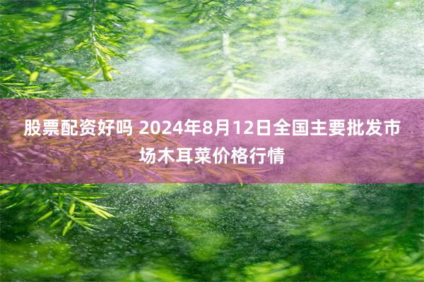 股票配资好吗 2024年8月12日全国主要批发市场木耳菜价格行情