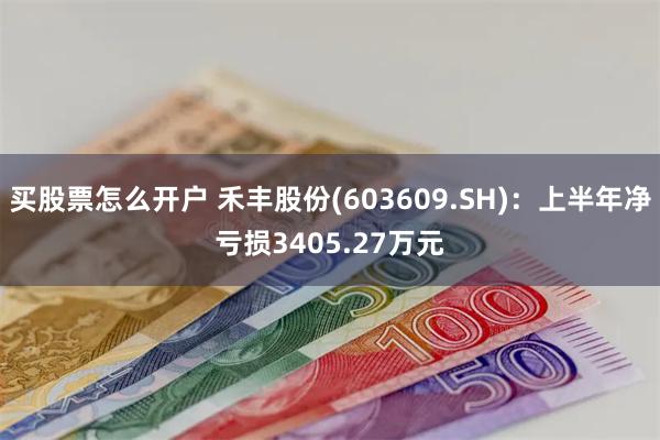 买股票怎么开户 禾丰股份(603609.SH)：上半年净亏损3405.27万元