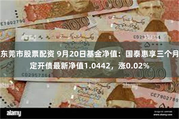 东莞市股票配资 9月20日基金净值：国泰惠享三个月定开债最新净值1.0442，涨0.02%