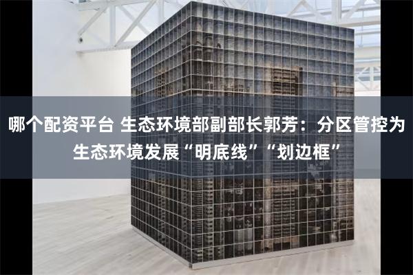 哪个配资平台 生态环境部副部长郭芳：分区管控为生态环境发展“明底线”“划边框”