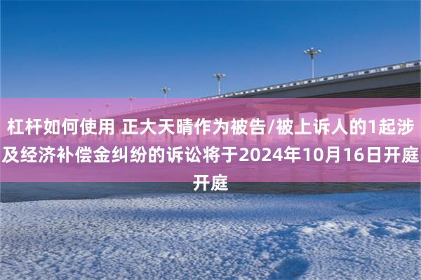 杠杆如何使用 正大天晴作为被告/被上诉人的1起涉及经济补偿金纠纷的诉讼将于2024年10月16日开庭