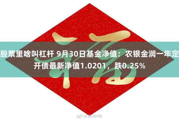 股票里啥叫杠杆 9月30日基金净值：农银金润一年定开债最新净值1.0201，跌0.25%